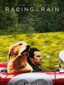 L'Art de Courir Sous la Pluie en DVD et Blu-Ray