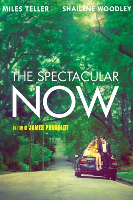  The Spectacular Now en streaming ou téléchargement 