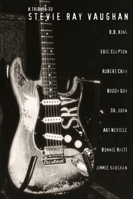  A Tribute To Stevie Ray Vaughan en streaming ou téléchargement 