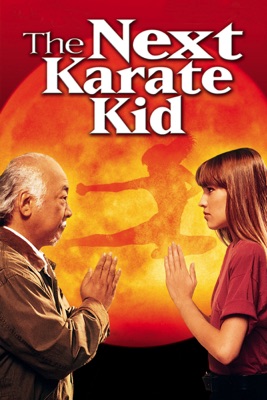  The Next Karate Kid en streaming ou téléchargement 