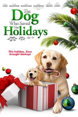 Le Sauveur De Noël (The Dog Who Saved The Holidays) en streaming ou téléchargement
