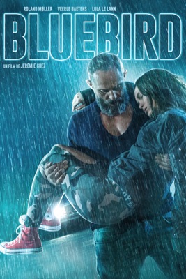  Bluebird en streaming ou téléchargement 