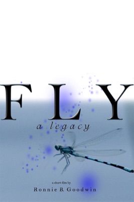  Fly - A Legacy en streaming ou téléchargement 