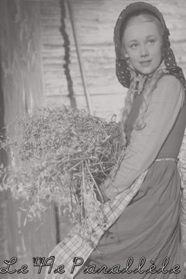  Le 49e Parallèle en streaming ou téléchargement 