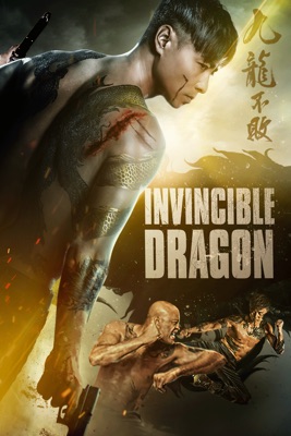  Invincible Dragon en streaming ou téléchargement 