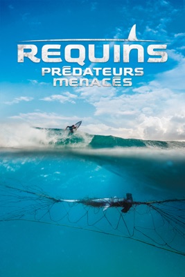  Requins : Prédateurs Menacés en streaming ou téléchargement 