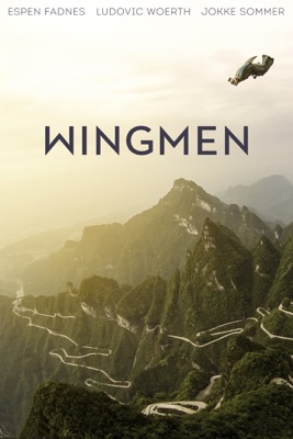 Wingmen en streaming ou téléchargement 