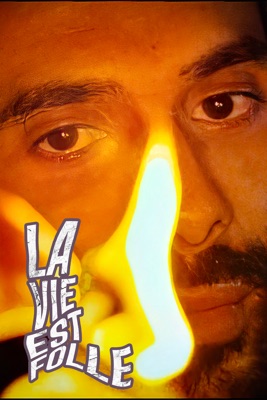  La Vie Est Folle en streaming ou téléchargement 