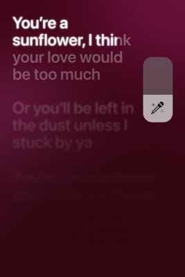  Comment Utiliser Apple Music Sing en streaming ou téléchargement 