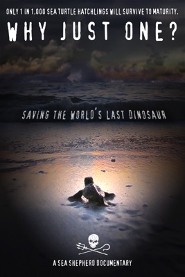  Why Just One? en streaming ou téléchargement 