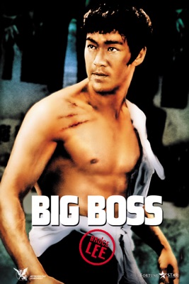  Big Boss en streaming ou téléchargement 