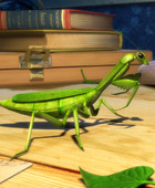  The Mantis Parable en streaming ou téléchargement 