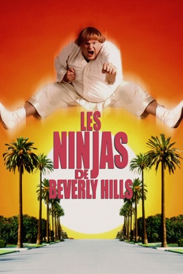  Les Ninjas De Beverly Hills en streaming ou téléchargement 