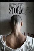  Dissection of a Storm en streaming ou téléchargement 