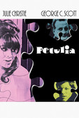 Petulia en streaming ou téléchargement