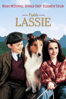  Fidèle Lassie en streaming ou téléchargement 