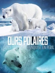 DVD Ours Polaires: Banquise En Peril