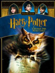 DVD Harry Potter à l'école des sorciers (version longue)