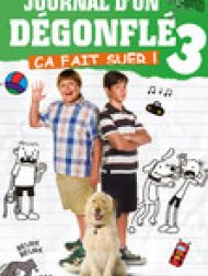 DVD Le Journal D'un Dégonflé: Ça Fait Suer!