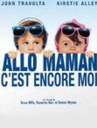 DVD Allo maman, c'est encore moi