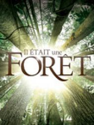 DVD Il était Une Forêt