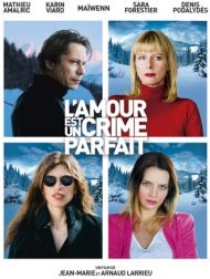 DVD L'amour Est Un Crime Parfait