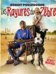 DVD Les rayures du zèbre