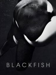 DVD Blackfish