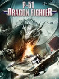 DVD P51 DRAGON FIGHTER