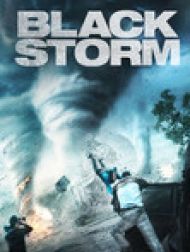DVD Black Storm (2014)