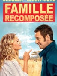 DVD Famille Recomposée (Blended)