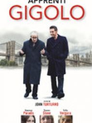 DVD Apprenti Gigolo (VOST)