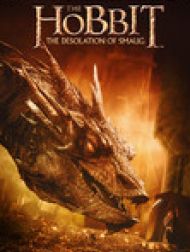 DVD Le Hobbit: La Désolation de Smaug