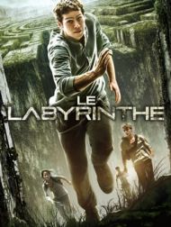 DVD Le Labyrinthe