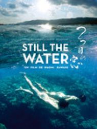 DVD Still The Water
