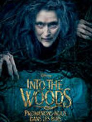 DVD Into The Woods: Promenons-nous Dans Les Bois