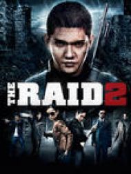 DVD The Raid 2 (VF)