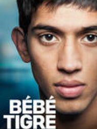 DVD Bébé Tigre