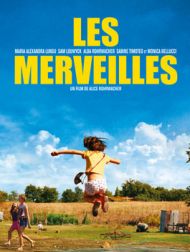 DVD Les Merveilles