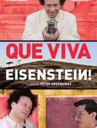 DVD Que Viva Eisenstein !