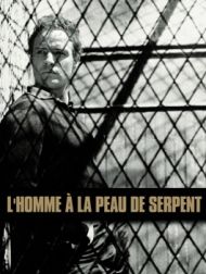 DVD L'Homme à La Peau De Serpent