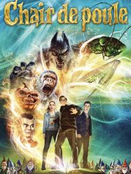 DVD Chair De Poule