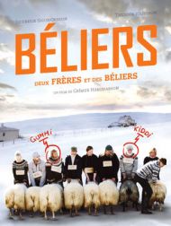 DVD Béliers