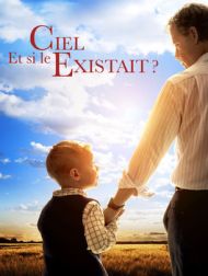 DVD Et Si Le Ciel Existait ?