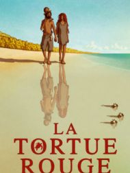 DVD La Tortue Rouge