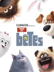 DVD Comme Des Bêtes