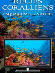 DVD Récifs Coralliens : L’aquarium De La Nature