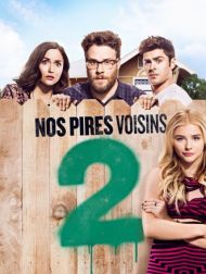 DVD Nos Pires Voisins 2