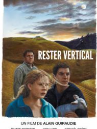 DVD Rester Vertical
