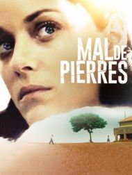 DVD Mal De Pierres